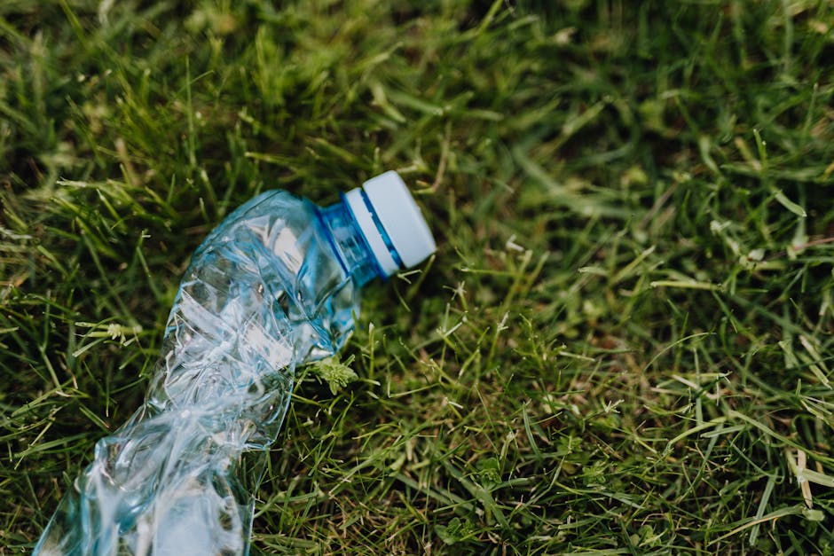 What Croydon Council local rules mean for CR7 rubbish disposal